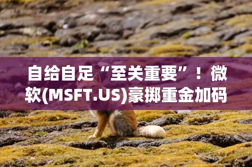 自给自足“至关重要”！微软(MSFT.US)豪掷重金加码自研AI模型
