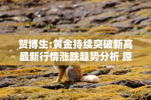贺博生:黄金持续突破新高最新行情涨跌趋势分析 原油今日操作建议