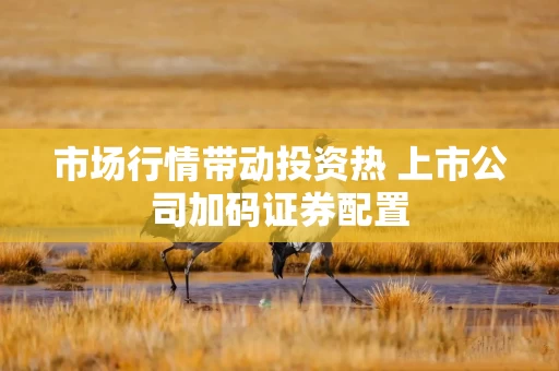市场行情带动投资热 上市公司加码证券配置