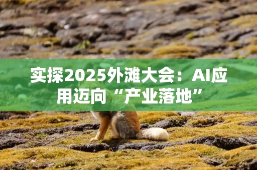 实探2025外滩大会：AI应用迈向“产业落地”