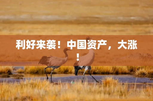利好来袭！中国资产，大涨！