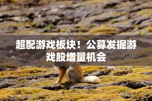 超配游戏板块！公募发掘游戏股增量机会