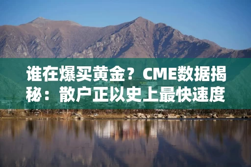 谁在爆买黄金？CME数据揭秘：散户正以史上最快速度冲进场