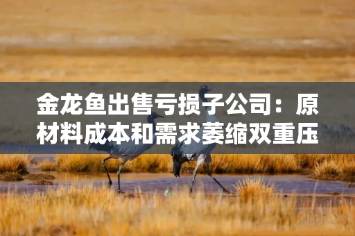 金龙鱼出售亏损子公司：原材料成本和需求萎缩双重压力下 何时迎来拐点？