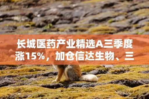 长城医药产业精选A三季度涨15%,加仓信达生物、三生制药,基金经理梁福睿:当前创新药个股极具性价比 长城医药产业精选A三季度涨15%,加仓信达生物、三生制药,基金经理梁福睿:当前创新药个股极具性价比