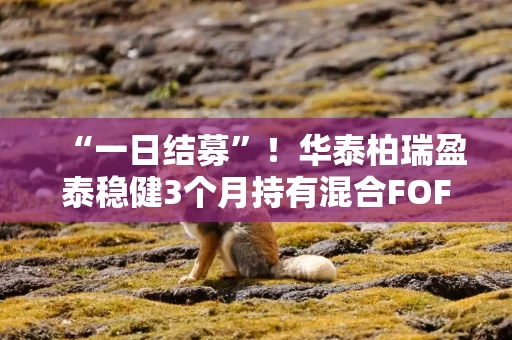 “一日结募”!华泰柏瑞盈泰稳健3个月持有混合FOF提前结束募集 “一日结募”!华泰柏瑞盈泰稳健3个月持有混合FOF提前结束募集
