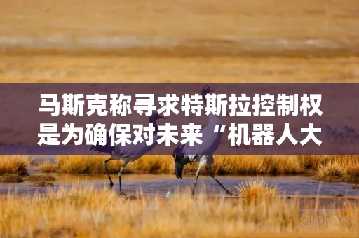 马斯克称寻求特斯拉控制权是为确保对未来“机器人大军”的影响力