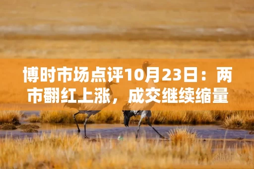 博时市场点评10月23日:两市翻红上涨,成交继续缩量 博时市场点评10月23日:两市翻红上涨,成交继续缩量