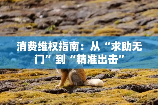 消费维权指南:从“求助无门”到“精准出击” 消费维权指南:从“求助无门”到“精准出击”