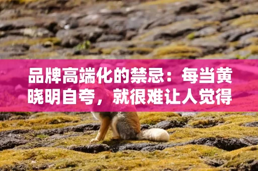 品牌高端化的禁忌：每当黄晓明自夸，就很难让人觉得他帅