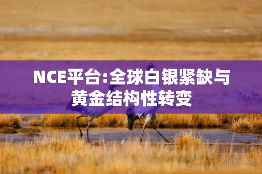 NCE平台:全球白银紧缺与黄金结构性转变
