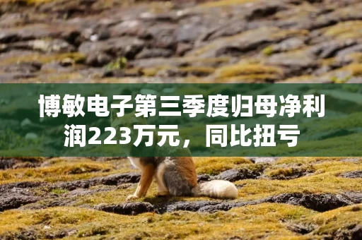 博敏电子第三季度归母净利润223万元,同比扭亏 博敏电子第三季度归母净利润223万元,同比扭亏