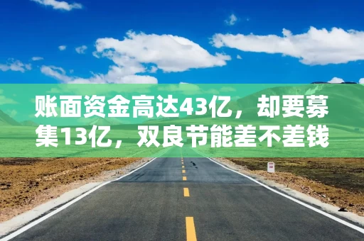 账面资金高达43亿，却要募集13亿，双良节能差不差钱？
