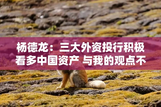 杨德龙：三大外资投行积极看多中国资产 与我的观点不谋而合