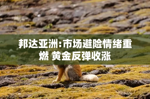 邦达亚洲:市场避险情绪重燃 黄金反弹收涨 邦达亚洲:市场避险情绪重燃 黄金反弹收涨