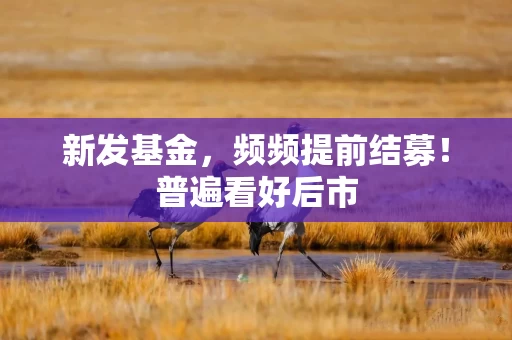 新发基金,频频提前结募!普遍看好后市 新发基金,频频提前结募!普遍看好后市