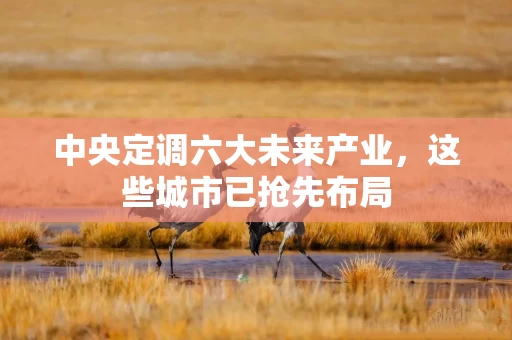 中央定调六大未来产业,这些城市已抢先布局 中央定调六大未来产业,这些城市已抢先布局