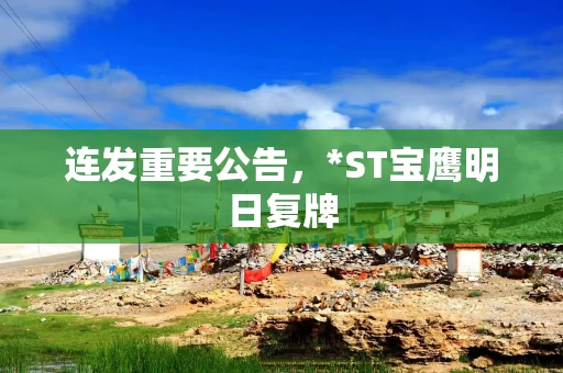 连发重要公告，*ST宝鹰明日复牌