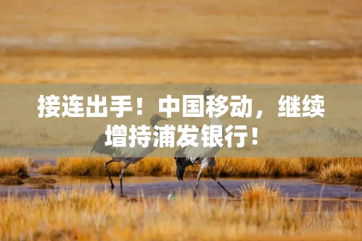接连出手!中国移动,继续增持浦发银行! 接连出手!中国移动,继续增持浦发银行!