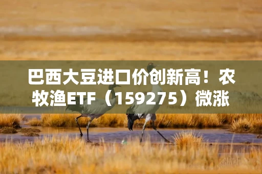 巴西大豆进口价创新高！农牧渔ETF（159275）微涨0.1%！机构：禽流感高发叠加引种受限或催化养殖链机会