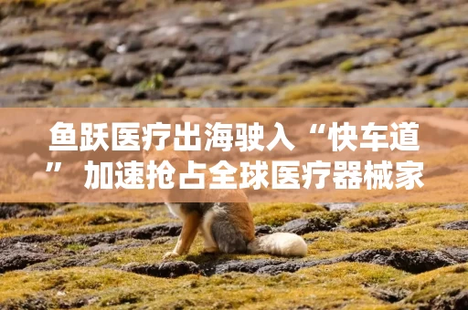 鱼跃医疗出海驶入“快车道” 加速抢占全球医疗器械家用市场