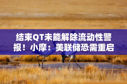 结束QT未能解除流动性警报！小摩：美联储恐需重启“2019式”巨量注资