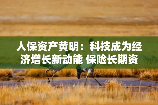 人保资产黄明:科技成为经济增长新动能 保险长期资金的布局逻辑与实践 人保资产黄明:科技成为经济增长新动能 保险长期资金的布局逻辑与实践