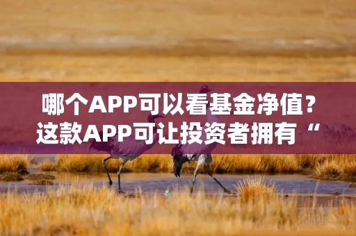 哪个APP可以看基金净值？这款APP可让投资者拥有“一眼洞穿”决策自信