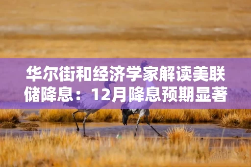 华尔街和经济学家解读美联储降息：12月降息预期显著下降 防范“过早宽松”风险