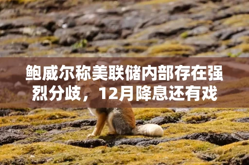 鲍威尔称美联储内部存在强烈分歧,12月降息还有戏吗? 鲍威尔称美联储内部存在强烈分歧,12月降息还有戏吗?