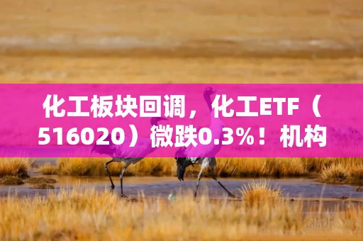 化工板块回调,化工ETF(516020)微跌0.3%!机构:关注高端材料及国产替代机遇 化工板块回调,化工ETF(516020)微跌0.3%!机构:关注高端材料及国产替代机遇