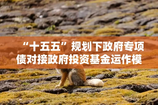 “十五五”规划下政府专项债对接政府投资基金运作模式与难题破解