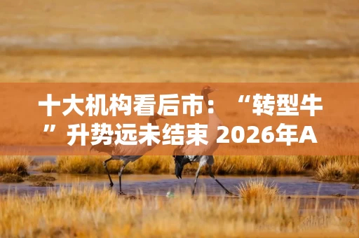 十大机构看后市：“转型牛”升势远未结束 2026年A股高度有望超出共识 春季行情或提前启动主要仍以成长为主