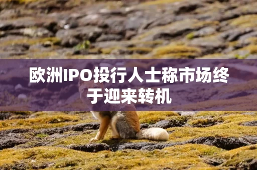 欧洲IPO投行人士称市场终于迎来转机