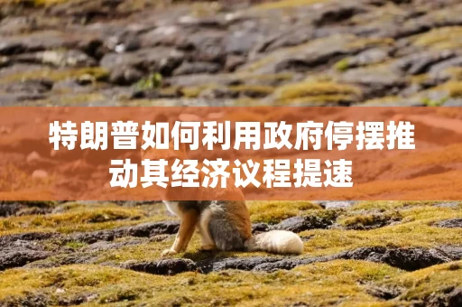 特朗普如何利用政府停摆推动其经济议程提速