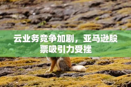 云业务竞争加剧，亚马逊股票吸引力受挫