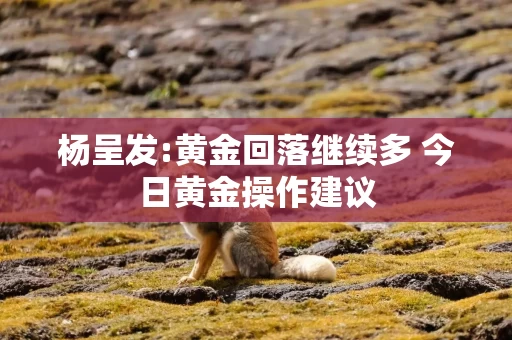 杨呈发:黄金回落继续多 今日黄金操作建议