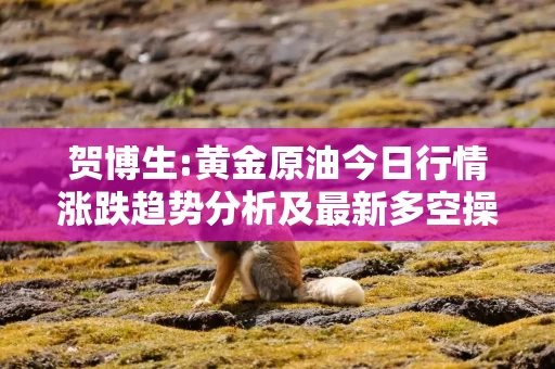 贺博生:黄金原油今日行情涨跌趋势分析及最新多空操作建议