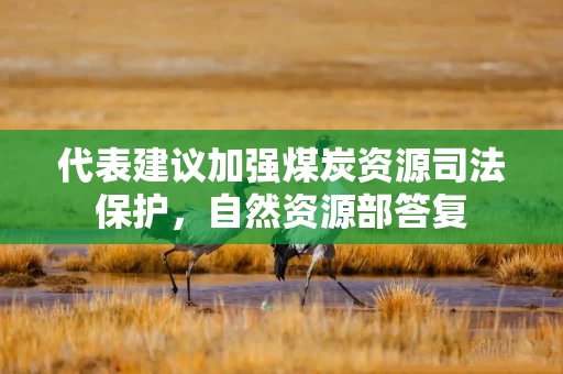 代表建议加强煤炭资源司法保护，自然资源部答复