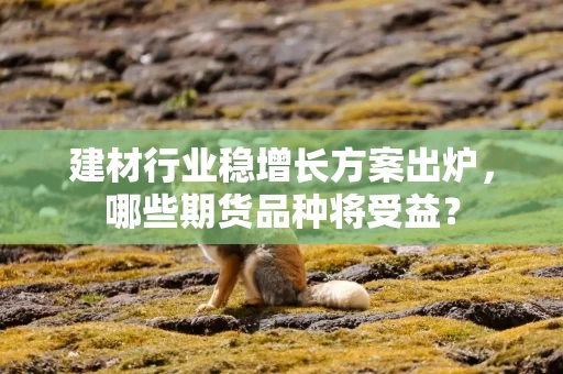 建材行业稳增长方案出炉，哪些期货品种将受益？