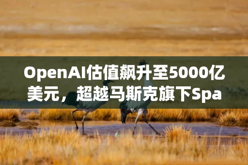 OpenAI估值飙升至5000亿美元，超越马斯克旗下SpaceX