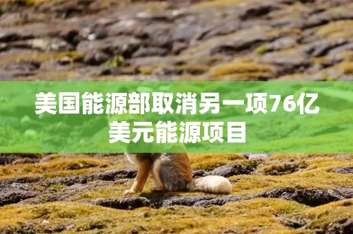 美国能源部取消另一项76亿美元能源项目