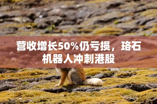 营收增长50%仍亏损，珞石机器人冲刺港股