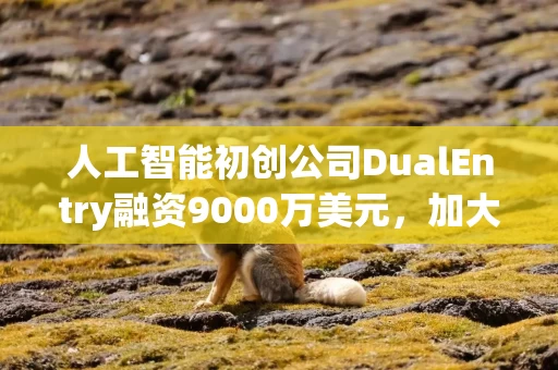 人工智能初创公司DualEntry融资9000万美元，加大ERP市场布局力度