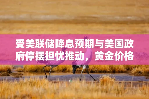 受美联储降息预期与美国政府停摆担忧推动，黄金价格实现五连涨