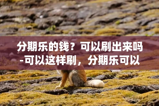 分期乐的钱？可以刷出来吗-可以这样刷，分期乐可以刷pos机吗