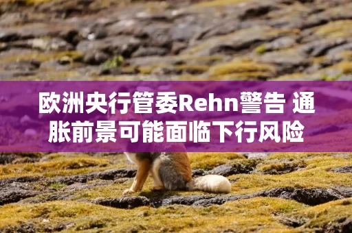 欧洲央行管委Rehn警告 通胀前景可能面临下行风险