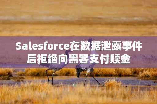 Salesforce在数据泄露事件后拒绝向黑客支付赎金
