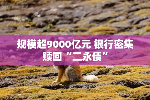 规模超9000亿元 银行密集赎回“二永债”