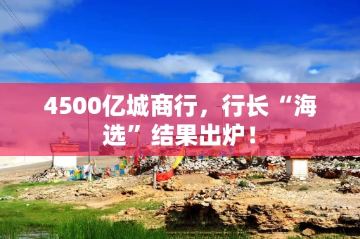 4500亿城商行，行长“海选”结果出炉！